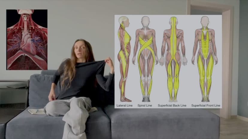 Типы тканей в женском теле: как они работают и взаимодействуют